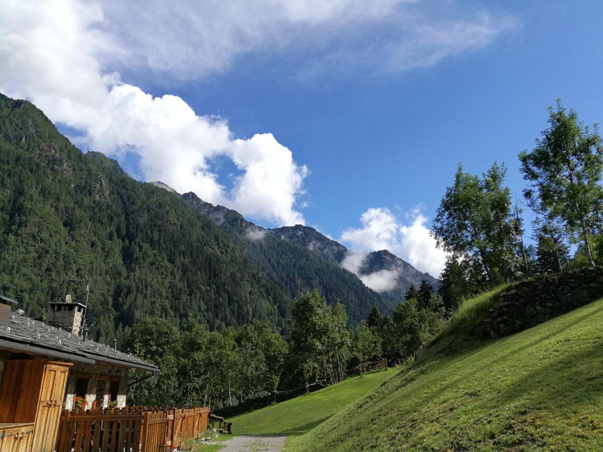 Agriturismo Alle Baite Branzi Exterior foto